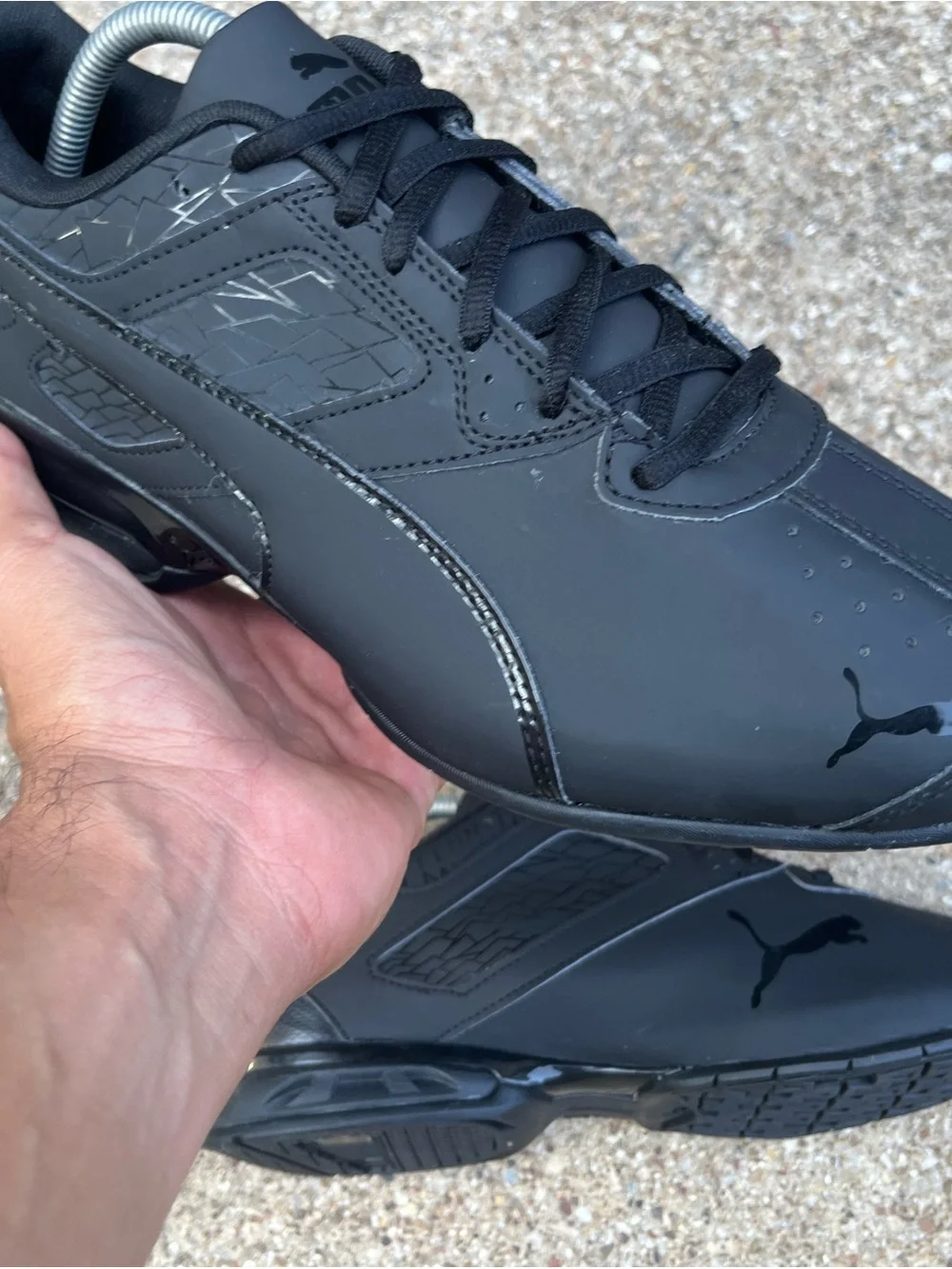 Puma tazon fracture